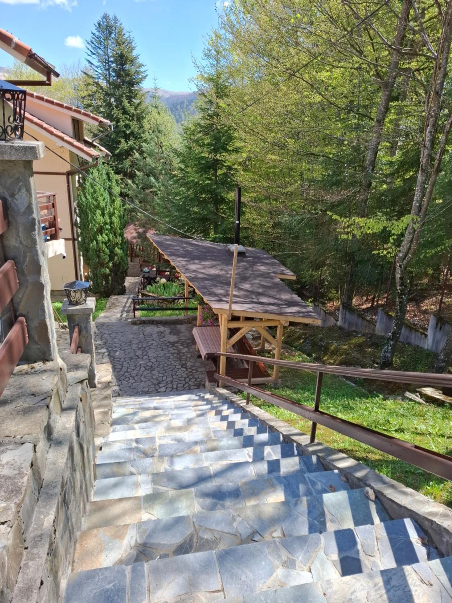 Holiday Houses Сіная Екстер'єр фото